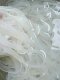 Yikang Crystal Vermicelli 1.7kg - Wheat Crispy Noodles, Vermicelli for Hot Pot and Cold Dishes, Edible Specialty Dried Goods