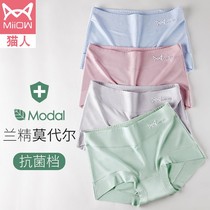 Cat person Modale flat corner Underpants pure cotton stall No marks Four corners to collect mid-high waist breathable lady Large code full size minus