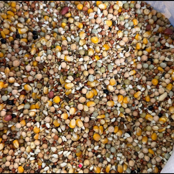 Liangdeyi ໂພຊະນາການ grade a pigeon ອາຫານ 50kg ສົ່ງຟຣີ