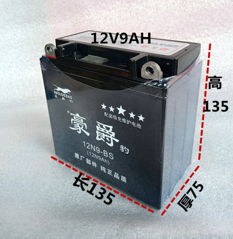 125 motorcycle battery 12V9Ah drill leopard prince cross bike universal 12v battery 12N9-4B-1