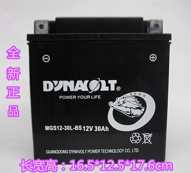 Export original spring breeze beach car 550 X8 X6 Z6Z8 American Harley Road king big glide 12V30A battery