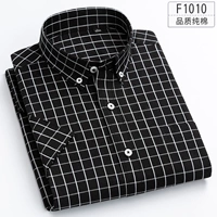F1010
