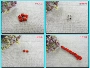 Vòng đeo tay tự nhiên Acac Red Bean DIY Vật liệu làm bằng tay Gói Red Bean Loose Pearl One Heart One Piece CLB-001 - Vòng đeo tay Clasp vòng tay hermes