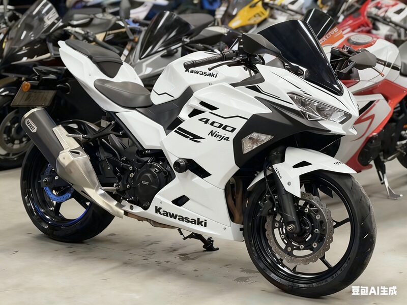 Ninja 400 18-19-20-21-22-23-24 Year Model Fairing, Side Panels, Full Body Shell