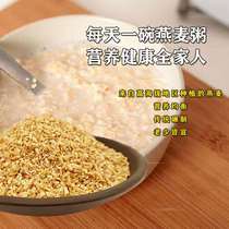 Oat hazelnuts 500g Gansu Minxian plateau oat farmer grains boiled porridge soaked in water