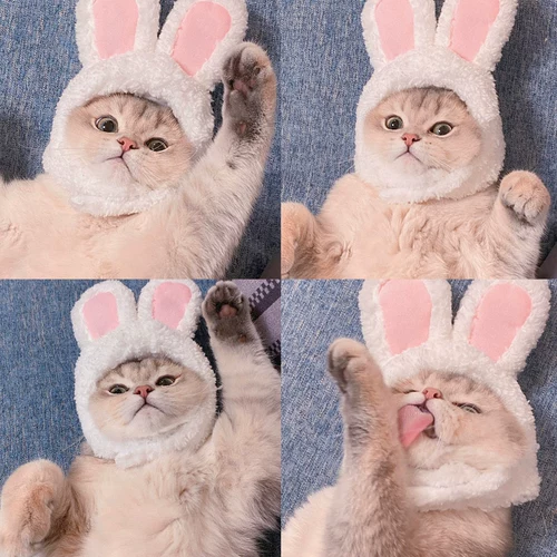 Кролик, аксессуар для волос, шлем, милая шапка, домашний питомец, кот, наряжаться, котенок