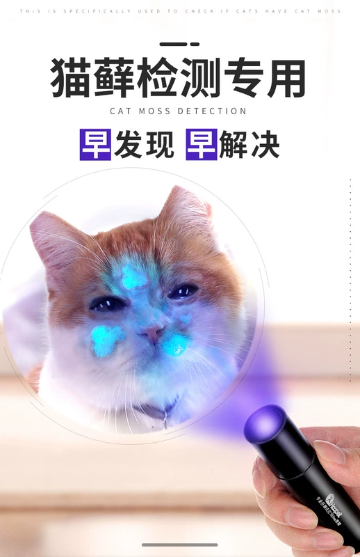 Laser vui mèo mèo đồ chơi mèo nấm ngoài da phát hiện nấm vật nuôi ánh sáng tia cực tím chất huỳnh quang ánh sáng màu tím nguồn cung cấp cho mèo - Mèo / Chó Đồ chơi