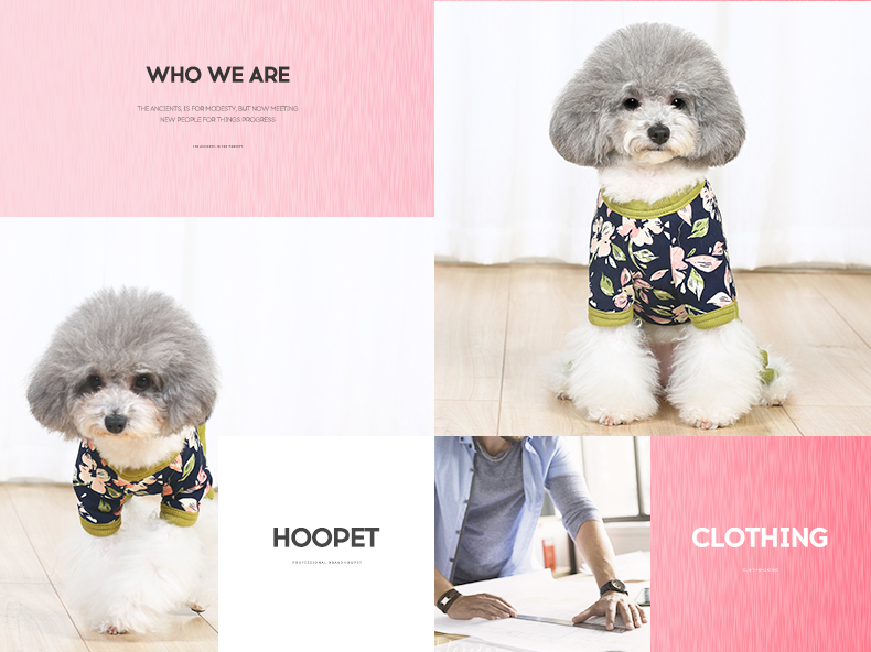 Quần áo chó mùa xuân và quần áo mùa thu Teddy Bomei quần áo chó con thú cưng quần áo bốn chân nhỏ chó quần áo thú cưng quần áo mùa xuân - Quần áo & phụ kiện thú cưng quần áo thú cưng giá sỉ