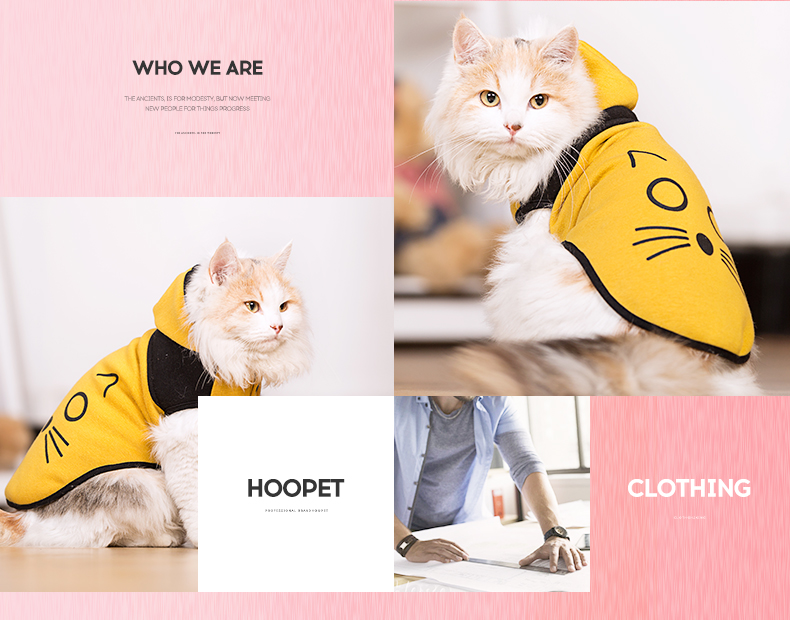 Mèo hoodie đen và vàng Quần áo mèo mùa thu và mùa đông mặc ấm hai chân váy lên mùa xuân và mùa thu quần áo thú cưng - Quần áo & phụ kiện thú cưng quần áo cho mèo con