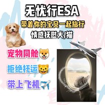 ESA emotional comfort dog certificate application for pets in the same cabin. Dogs and cats fly in the same cabin with their owners.