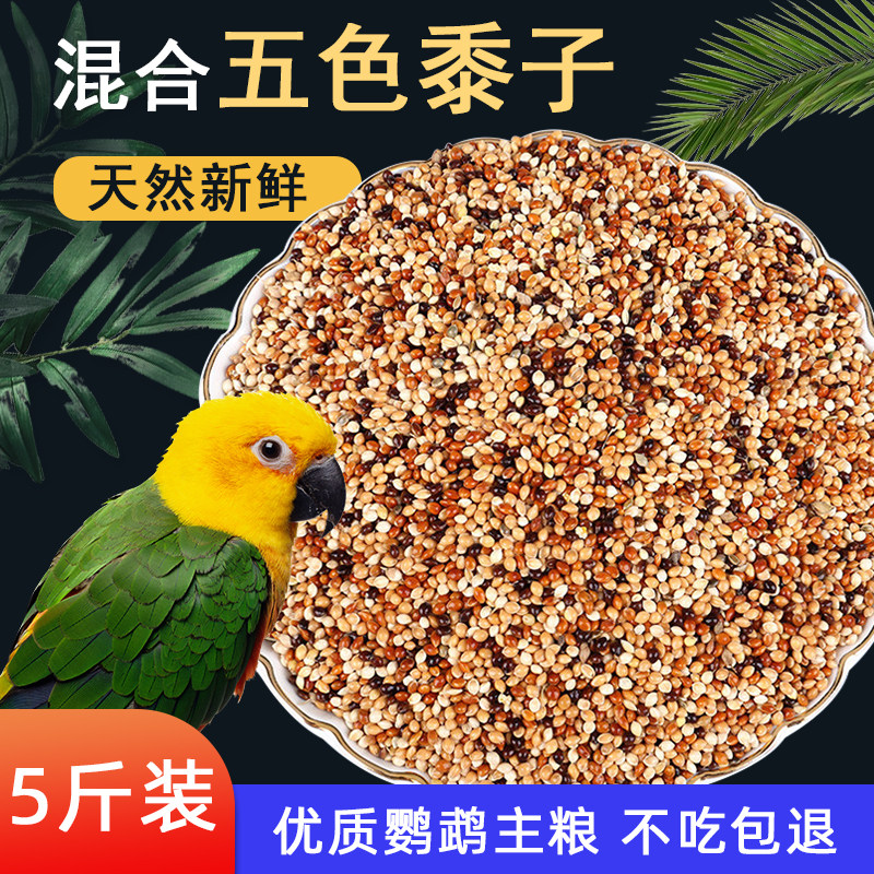 Parrot feed Bird food Tiger skin Peony Xuanfeng Small and medium-sized parrot bird food Five-color millet mixed grain millet 5 pounds