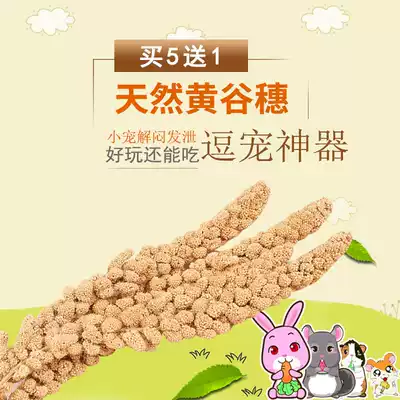 (Buy 5 Get 1) Hamster snack toy natural yellow grain ear about 20-30g tease high fiber