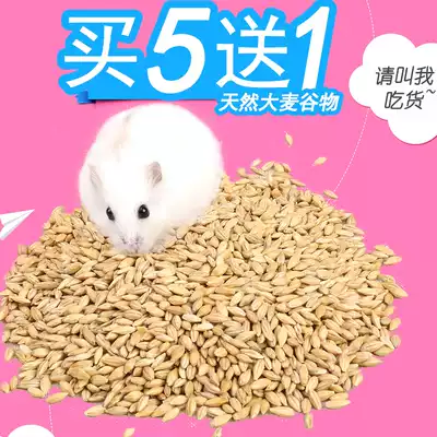 Buy 5 Get 1 hamster grain hamster grain with hulled barley grain 100g