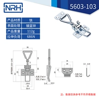 5603 Iron