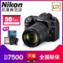 Nikon Nikon D7500 kit (18-140mm) ống kính máy ảnh SLR chuyên nghiệp máy ảnh kỹ thuật số du lịch máy ảnh chống nước