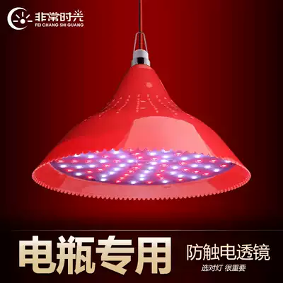 12V LED bulb low pressure fresh fruit pork lamp 48v night market stall light led energy saving battery lamp