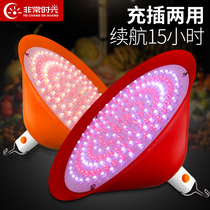  Rechargeable LED fruit light Color grading fresh light Night market stall special cooked food light Market power failure pork light