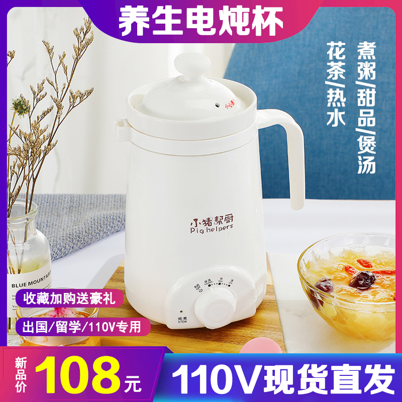 110v Small Power Portable Intelligent Silent Health Preservation Pot electric heating Stew Dormitory Cup USA Canada