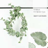 Begonia Leaf Leaf Hair Color Rattan