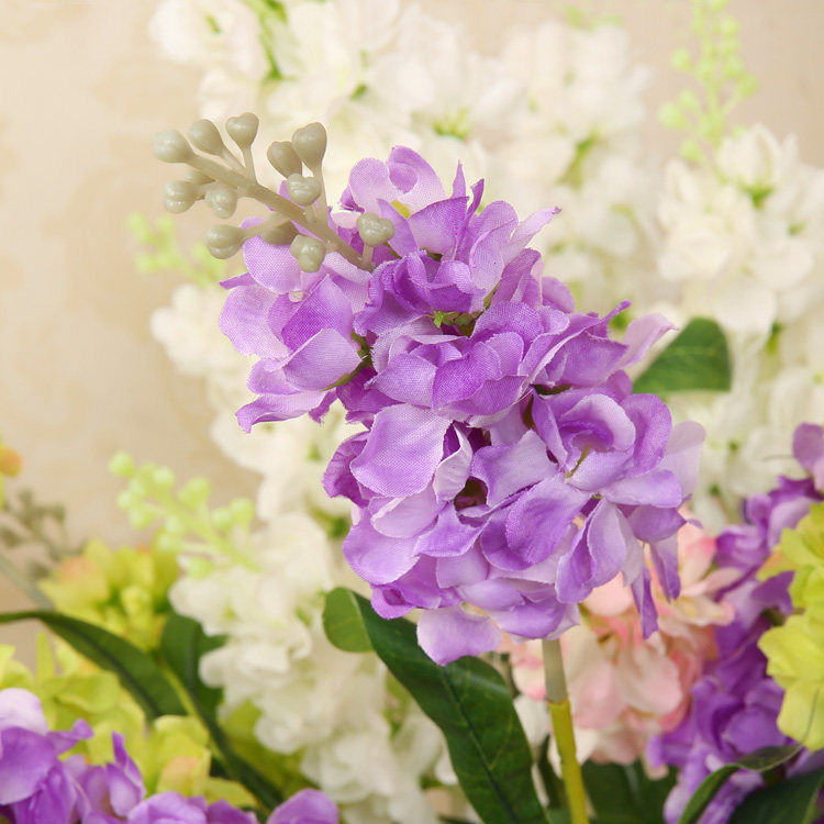 �ԡ�ױ���滨mz-dfe01