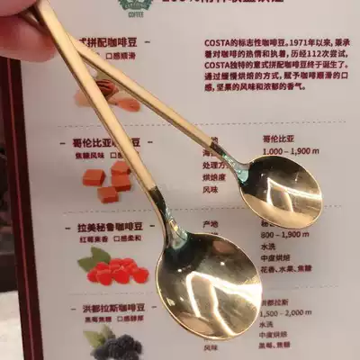 costa spoon 304 stainless steel coffee stirring spoon Classic frosted meal spoon Yogurt dessert spoon Portable 138mm
