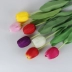 Mô phỏng 10 que hoa tulip lụa hoa khô trong nhà hoa giả thủ công phòng khách trang trí bàn ăn trang trí cắm hoa - Hoa nhân tạo / Cây / Trái cây