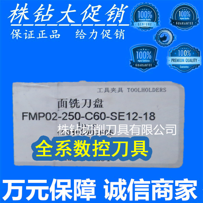 Zhuzhou CNC milling cutter disc FMP02-250-C60-SE12-18 spot sales
