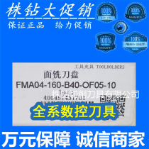 Zhuzhou CNC Surface Milling Cutter FMA04-160-B40-OF05-10