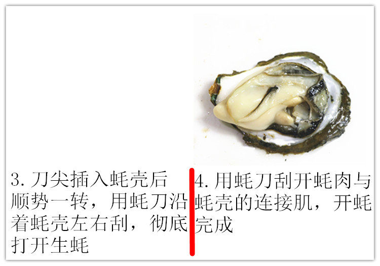 Устричный нож устрица нож оболочка Маленький нож топор Устричный нож барбекю устрица инструмент Устричный нож двойной Сяо Ян Хао 