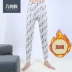 Zhongda Tongnan Qiuku Quần ấm trẻ trung One Piece Plus Velvet Quần cotton dày Quần lót cho học sinh Quần mùa đông quan am thu dong nam Quần nóng lên