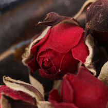 Phnom Penh Rose Dried Rose Corolla Yunnan Chuxiong Herb Tea Low Temperature Sulfur Free Natural Canned Buy One Get Three Free