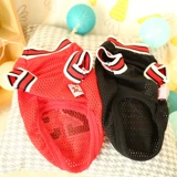 Собака летняя одежда Плют