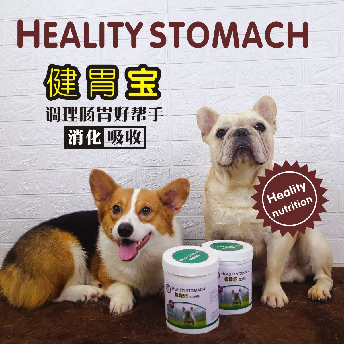 Bodybuilding Treasure Dog Probiotic Whole Intestine Law Fight Infighting Kirkibago Bully Teddy Chai Dog Conditioning Gut Absorption