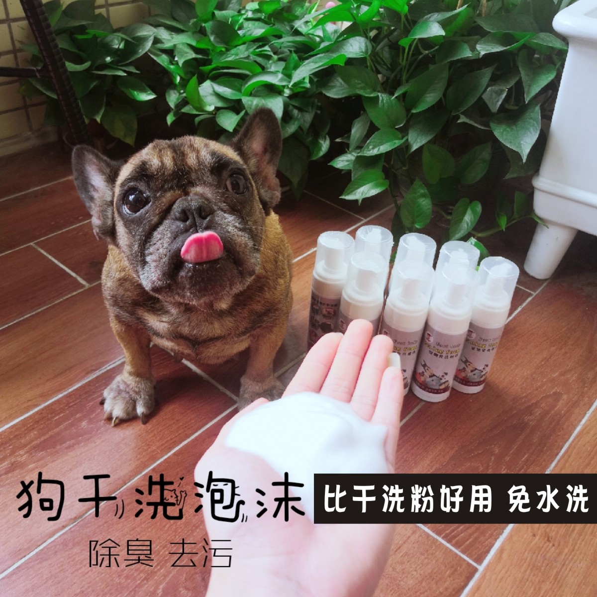 Free-to-wash foam face-fighting infighting dog dry cleaning powder teddy Bagbrother body wash with shower and deodorized pet puppies bathing