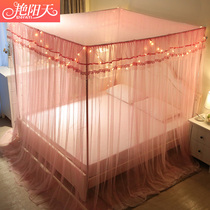 Princess wind mosquito net 1 8m bed 1 5 three-door door 2m simple household floor 2 0x2 2x2 3 anti-pattern account