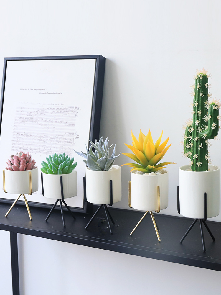 Nordic simulation plant pot decoration small ornaments ins living room desktop fleshy green plant cactus fake flower pot scene