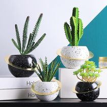 Nordic planet basin simulation green plant succulents fake flower pot planting ins creative desktop room small ornaments decoration