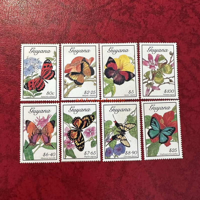 Guyana Animals, Insects, Butterflies, Native Butterflies 1989 Stamp