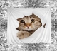 Sao chổi Bắc Âu in vải treo tường vải trang trí tấm thảm dễ thương mèo tường chăn nghệ thuật khăn trải bàn 	thảm treo tường hình biển