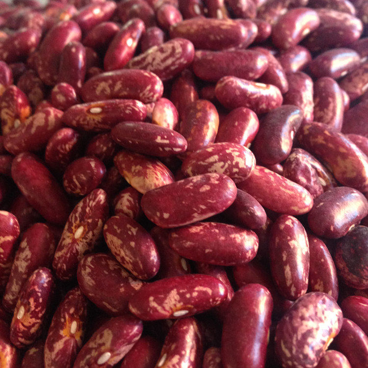 Heilongjiang farmhouse red kidney beans cook large ballast with rice bean farm self-produced five grain cereals 500g 500g 19 years New beans