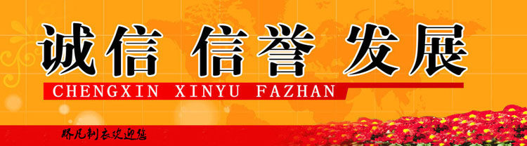 Vêtement de travail en coton - Ref 1912994 Image 6