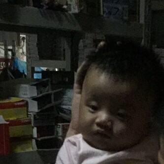 德牧学生美术用品