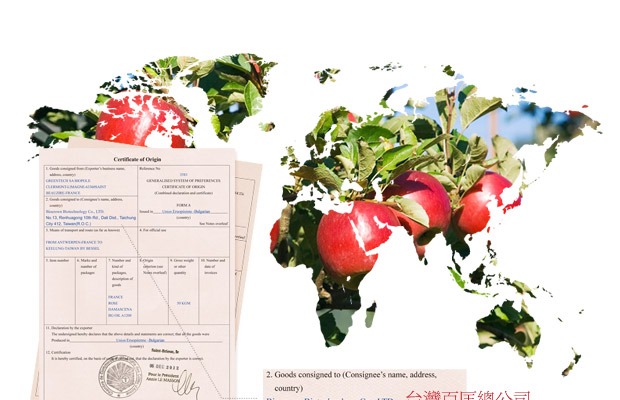Đài Loan nhập khẩu Apple Luoshen tinh dầu xà phòng làm bằng tay Trẻ hóa hydrat hóa Chất chống oxy hóa chính hãng - Tinh dầu điều trị tinh dầu xe hơi