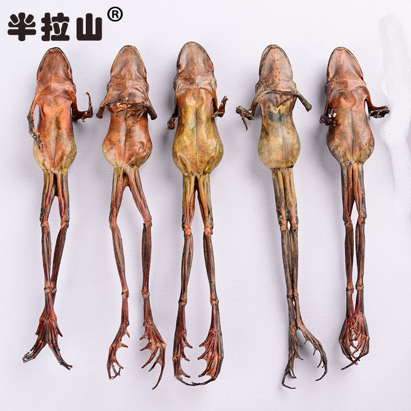 Banlashan snow clam dried whole 8gX10 branches Northeast Changbai Mountain toad dried forest frog oil Snow Clam oil