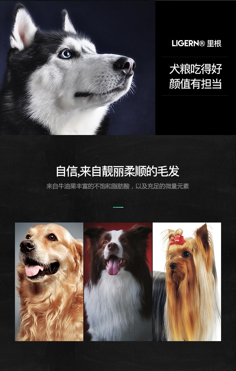 Avocado Dog Food Teddy Bear Golden Retriever La Modo Samoyed Pupgie Trưởng thành lớn 1,5kg - Chó Staples thức ăn cho chó con 2 tháng tuổi