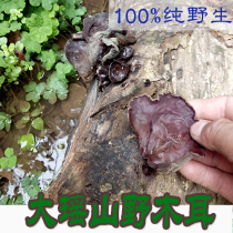  Guangxi Hezhou Yaoshan native deep mountain wild black fungus Authentic wild black fungus premium dry goods 250g