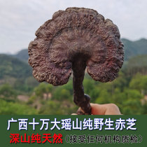 Guangxi Linzhi shank ganoderma lucidum dry goods natural deep mountain pruning wild red Ganoderma lucidum can be sliced and powdered 250g