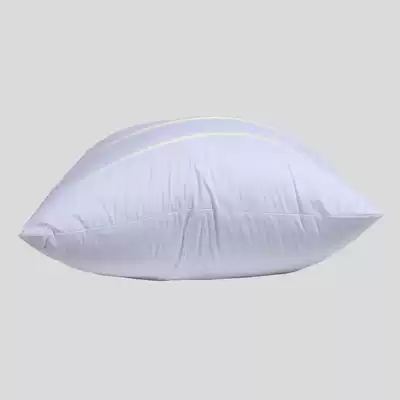 White backrest pillow cushion cushion core pillow pillow pillow core 45 50 55 60 pillow compression pp Cotton