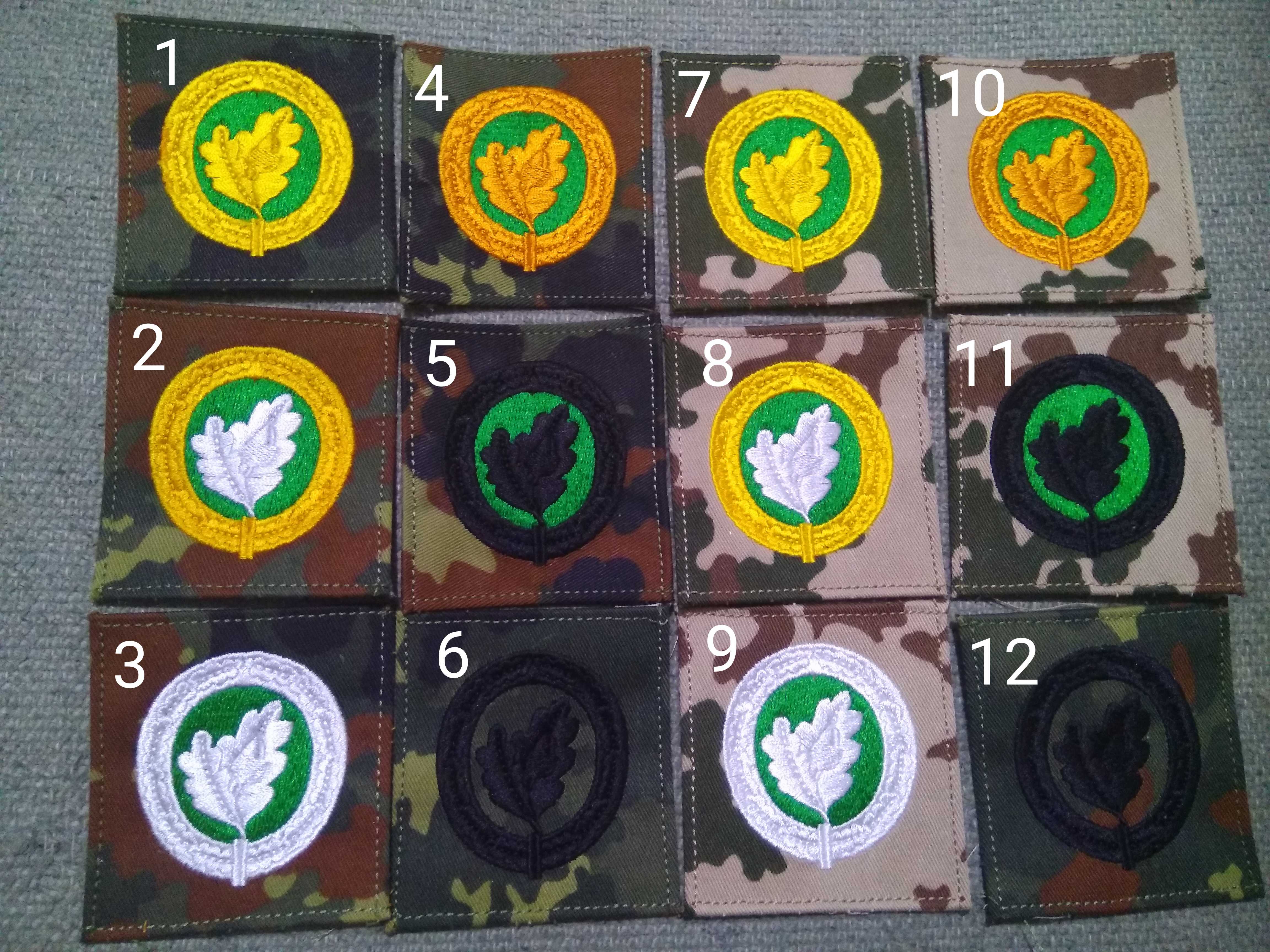 German Despot Camouflate Skills Chapter Qualification Chapters Biloba Leaf Qualification