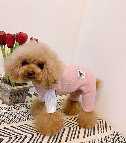 Мультяшные демисезонные флисовые штаны, в корейском стиле, осенний сезон